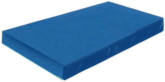 Premium Pressure-Check Psychiatric Mattress