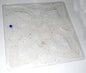 Quad Tree Light Box Gel Pads